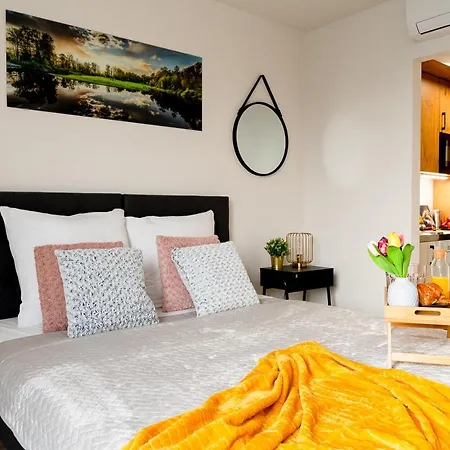 Easy Rent - Smart 316