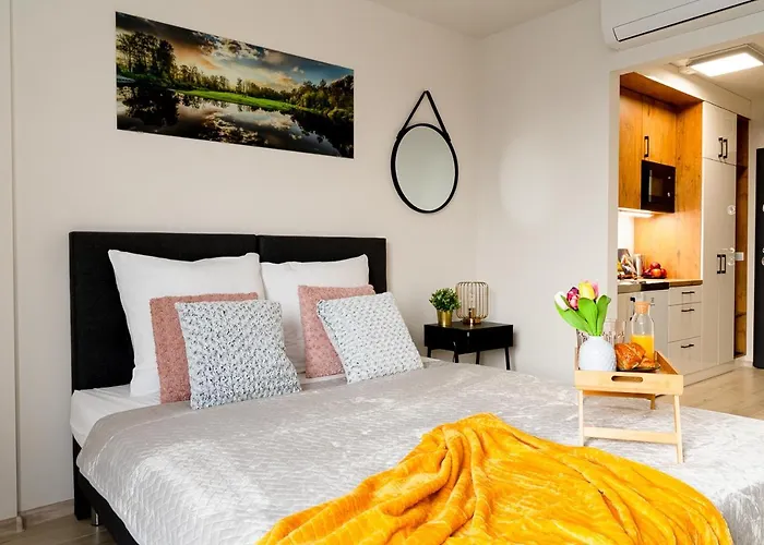 Easy Rent - Smart 316